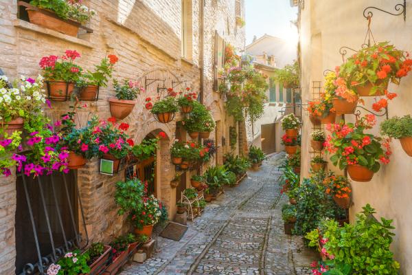 2026 Mediterranean Escape Fundraiser